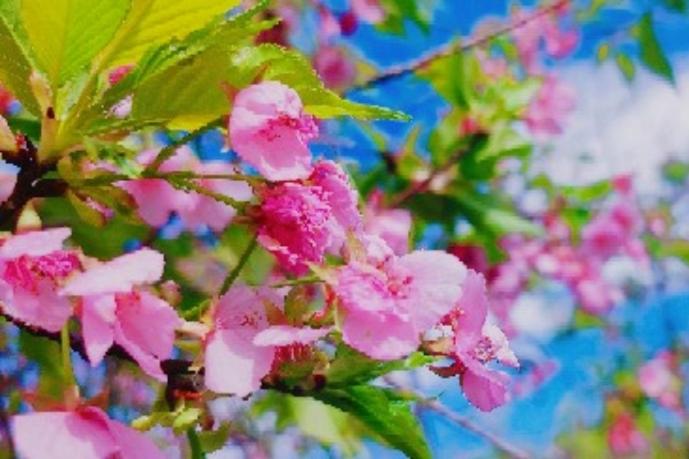 山多香青年民宿 Santhosham Hostel