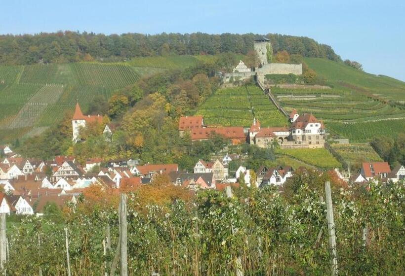 Общежитие Gasthof Lamm