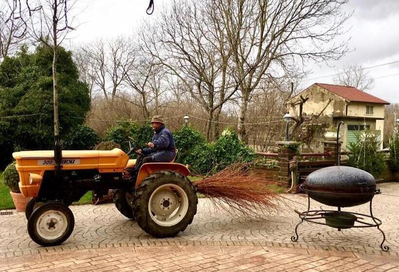 ホテル Agriturismo Da Baffone