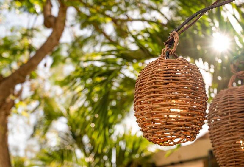 فندق Lola By Coco B Isla