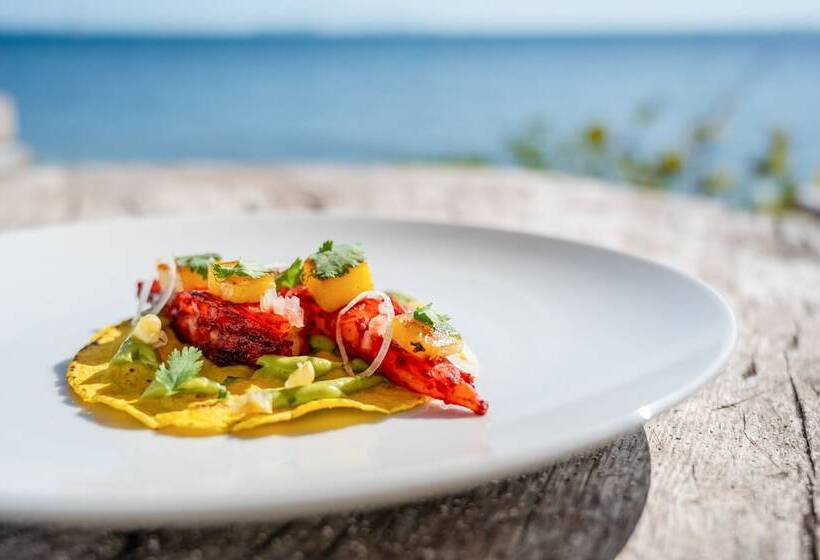 فندق Lola By Coco B Isla