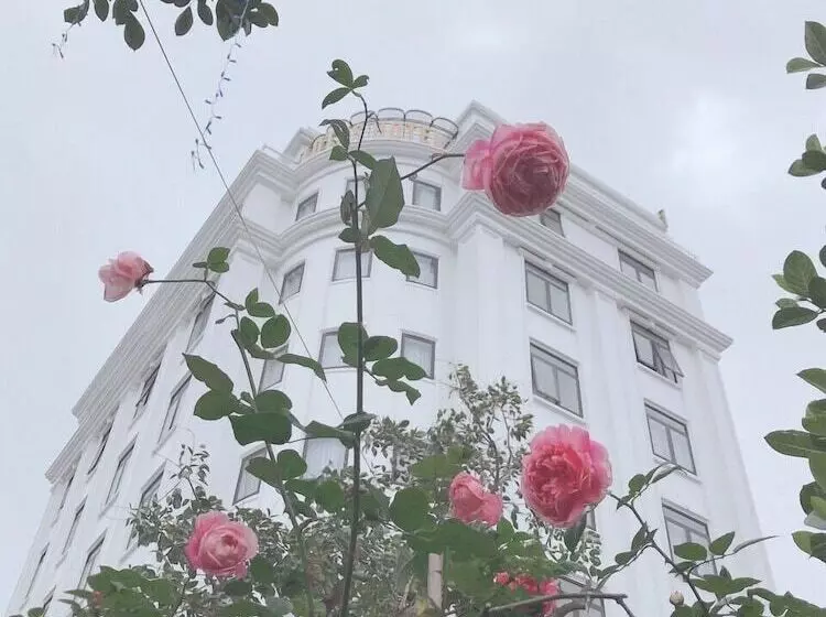 Lotus Hotel & Apartment