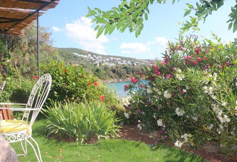 Urga Butik Otel & Restaurant