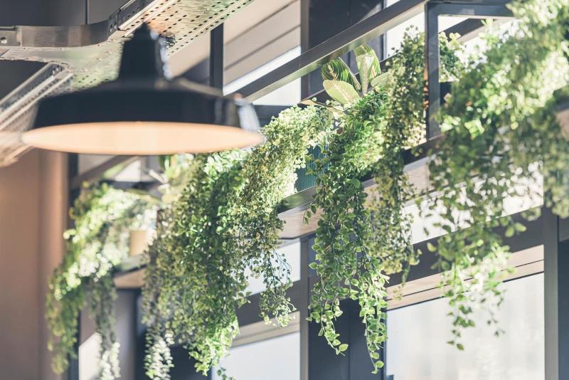 Whoo Bordeaux Bacalan  Hostel