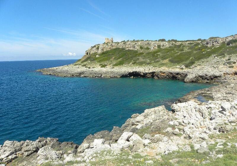 호텔 Amaregold Tenuta La Baronessa