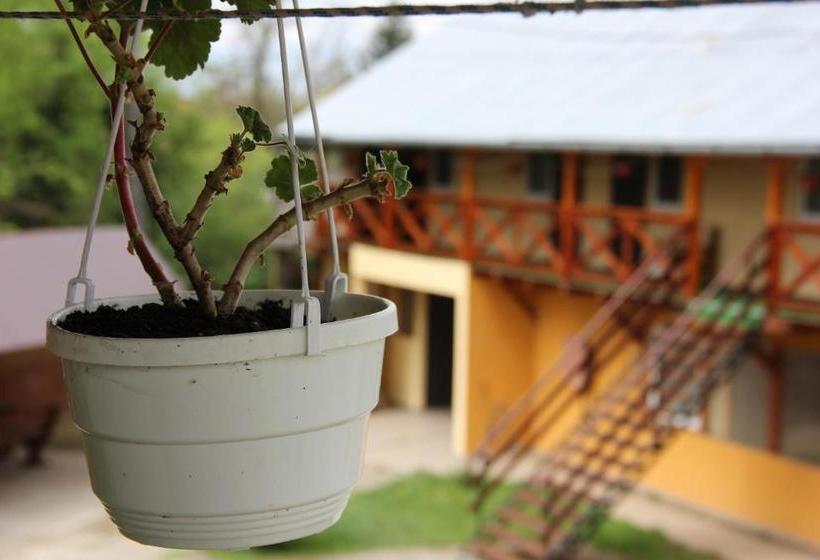 Motelli мотель ріта