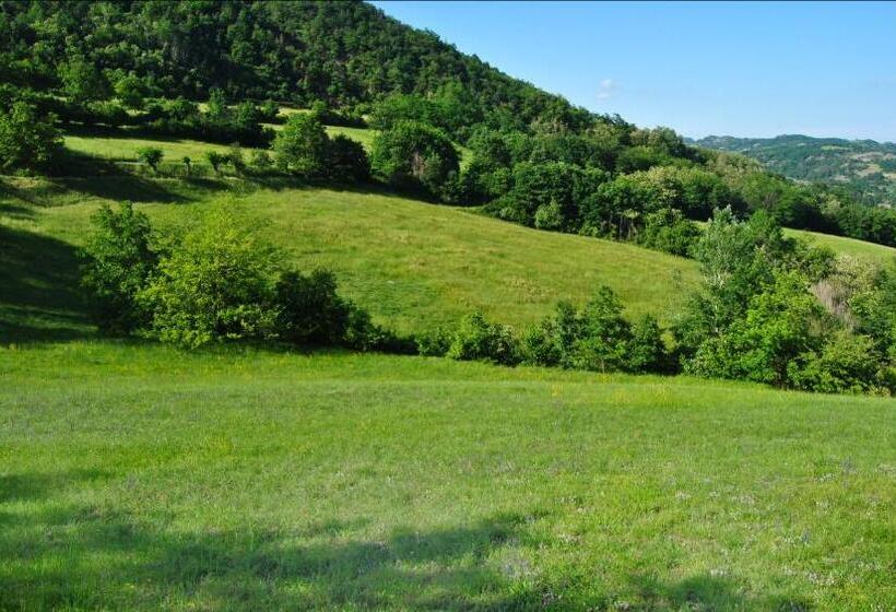 פנסיון B&b With Pool La Montaldina Piemonte