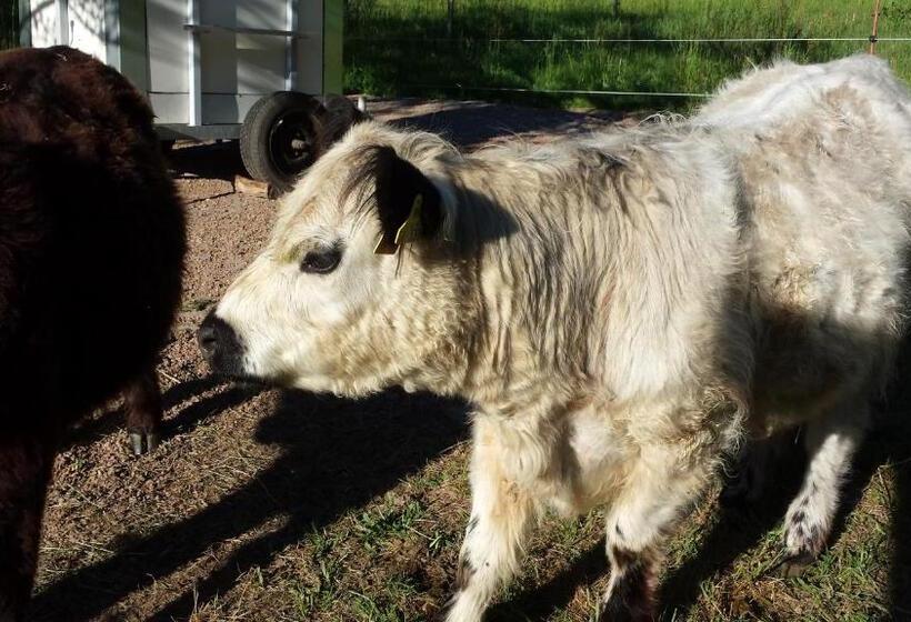 Pensão Gästehaus Cornelia