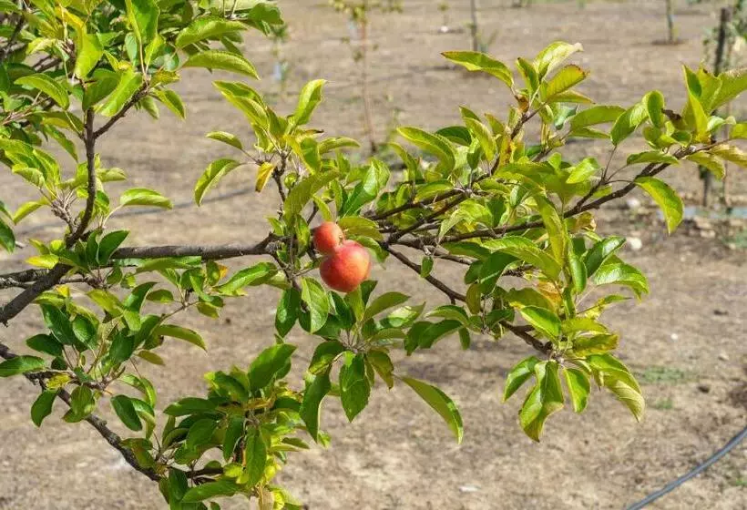 Majatalo Change The World   Herdade Monte Do Peral