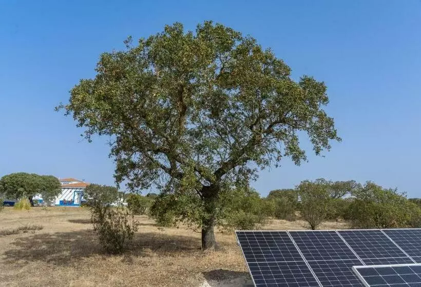 Majatalo Change The World   Herdade Monte Do Peral