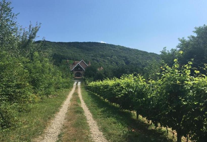 膳宿费 Polychko Winehouse