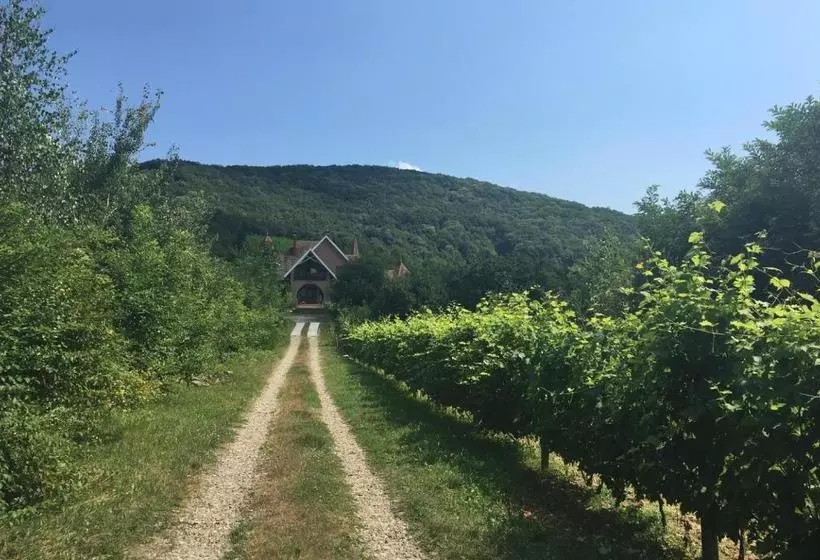 Majatalo Polychko Winehouse