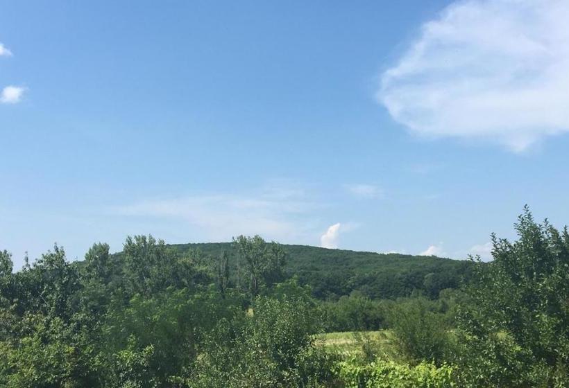 膳宿费 Polychko Winehouse