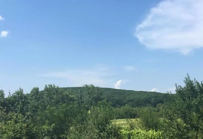 Majatalo Polychko Winehouse