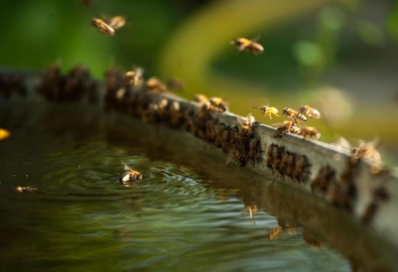 膳宿费 Polychko Winehouse