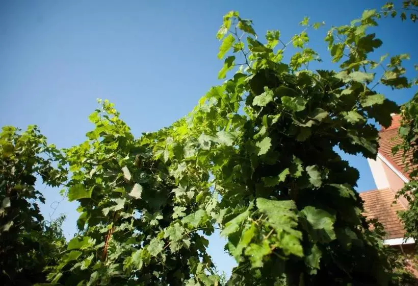 Majatalo Polychko Winehouse