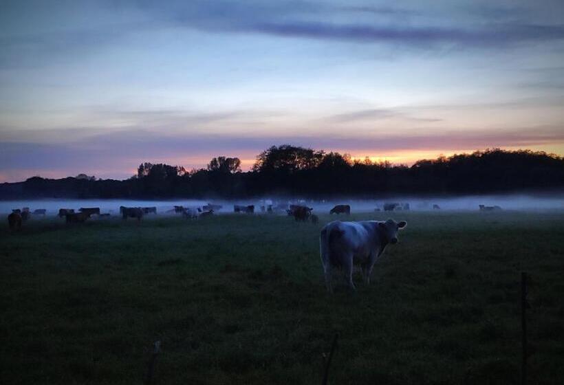 ペンション Wirtshaus Neuenkirchen