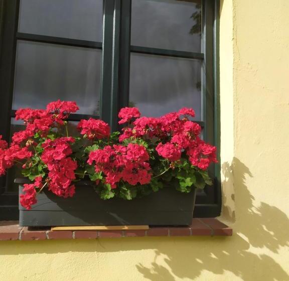 ペンション Wirtshaus Neuenkirchen