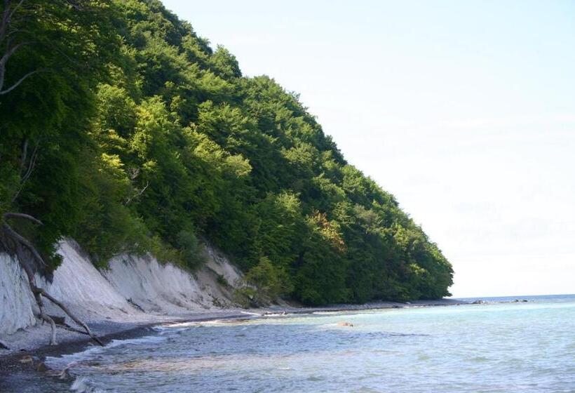 ペンション Wirtshaus Neuenkirchen