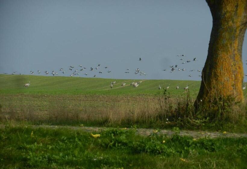 ペンション Wirtshaus Neuenkirchen