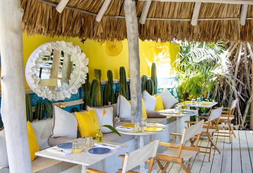 Boardwalk Boutique Hotel Aruba Adults Only