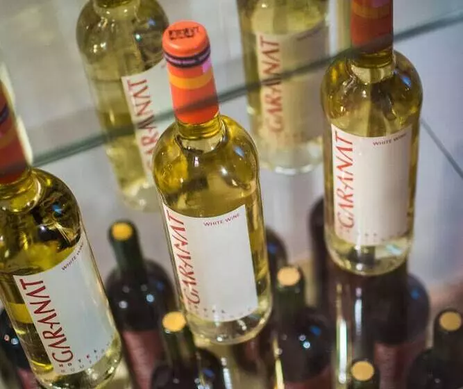 Gar Anat Hotel Boutique