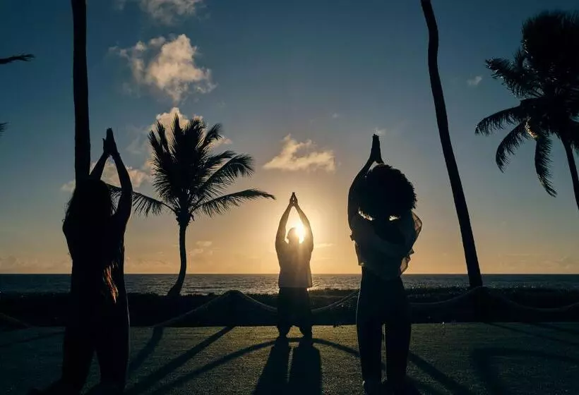 호텔 Iberostar Selection Praia do Forte