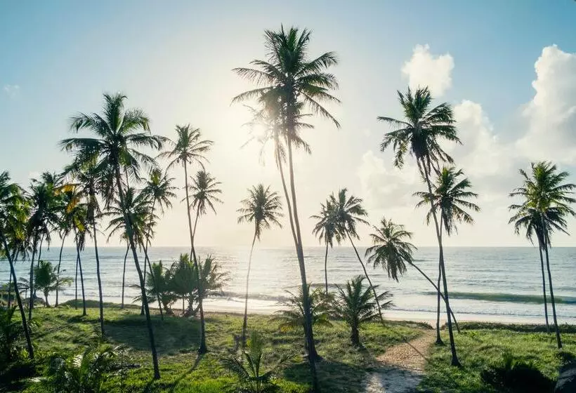 호텔 Iberostar Selection Praia do Forte