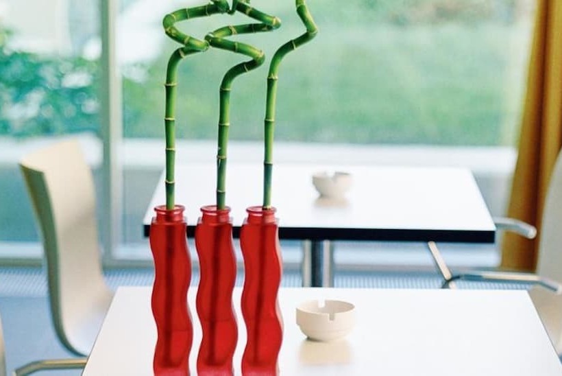 酒店 Kyriad Vienna Altmannsdorf