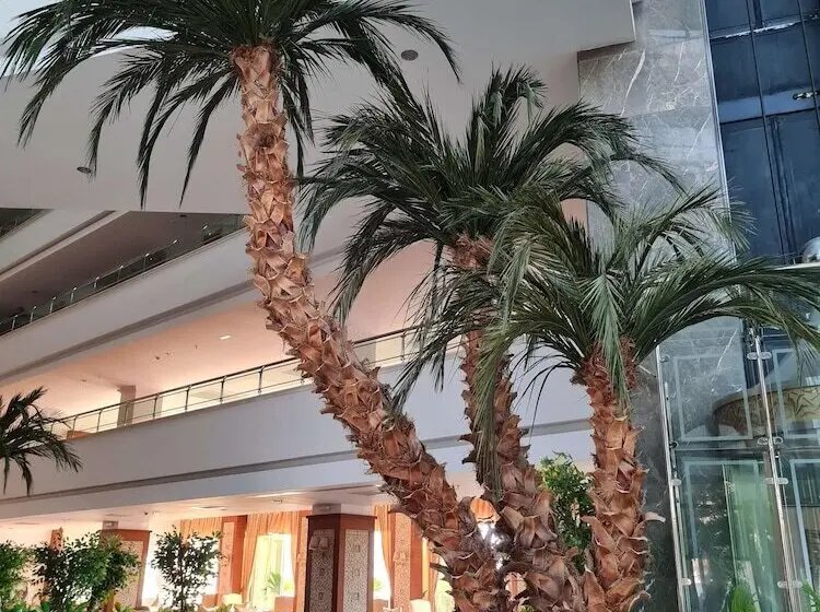 ホテル Saphir Resort & Spa
