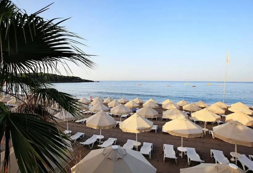 ホテル Saphir Resort & Spa