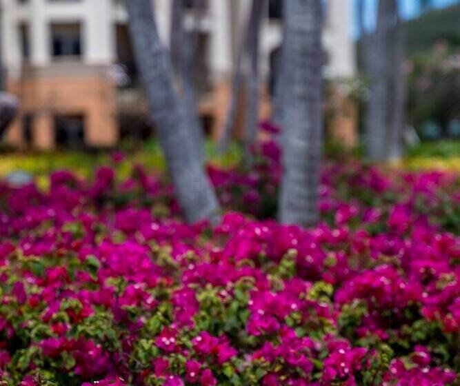 استراحتگاه Great Bay Condominiums At Ritzcarlton Club, St. Thomas