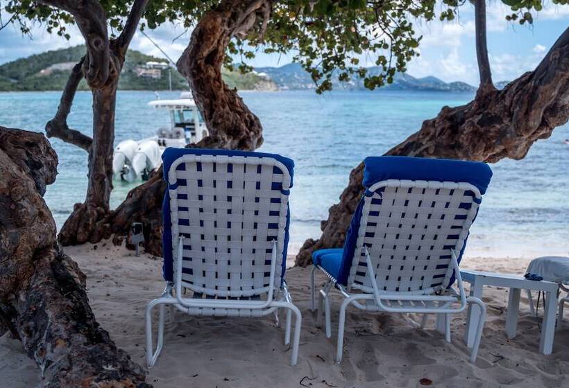 استراحتگاه Great Bay Condominiums At Ritzcarlton Club, St. Thomas