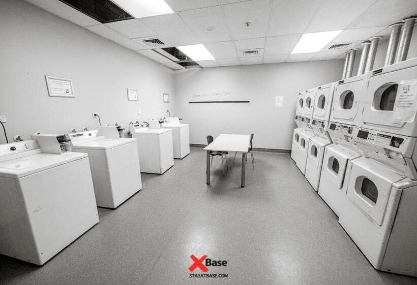 Alberg Base Auckland