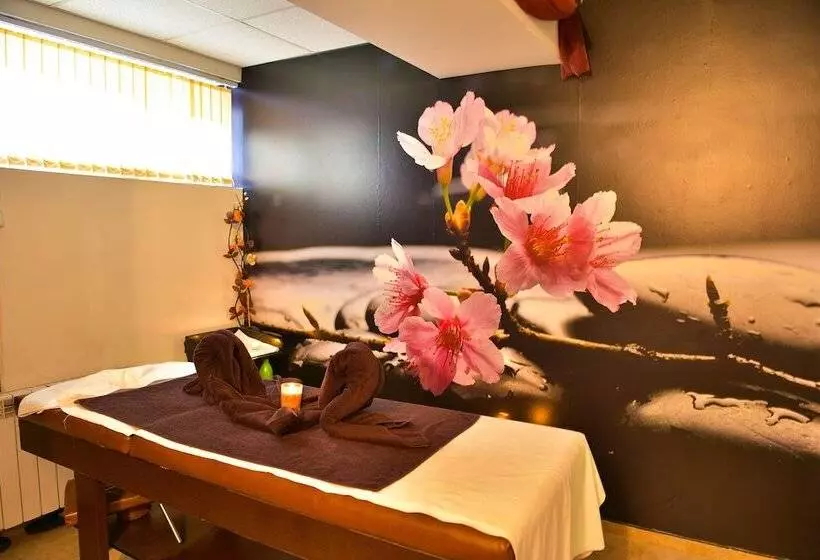 酒店 Belvedere Holiday Club