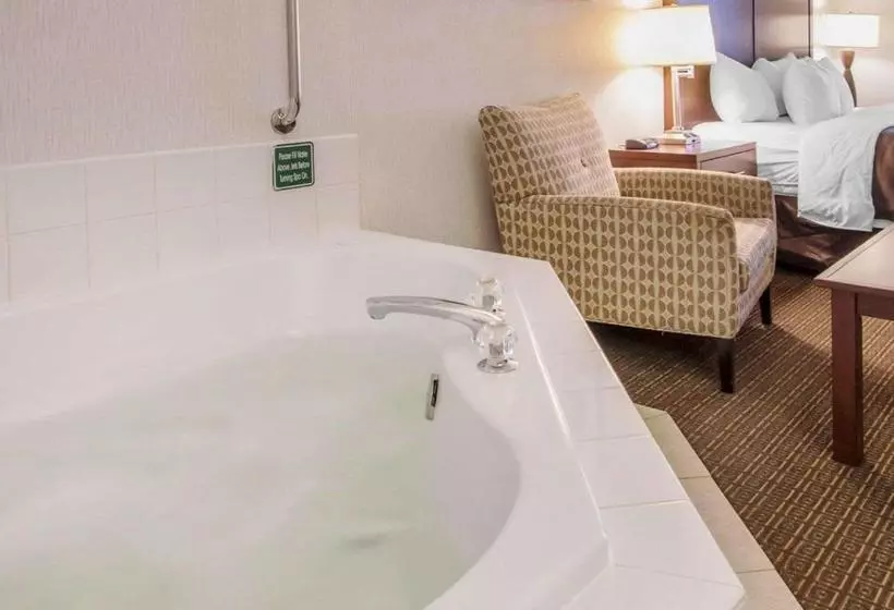 酒店 Comfort Inn & Suitesportland Airport