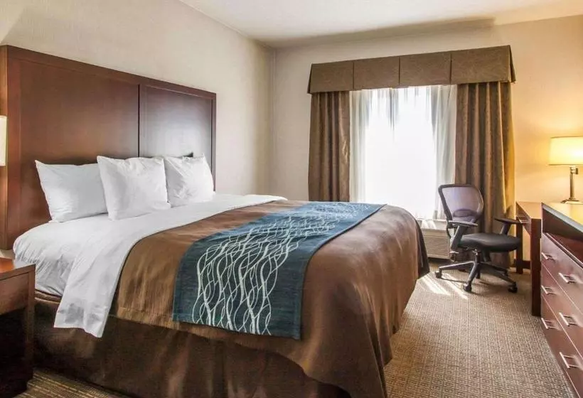 酒店 Comfort Inn & Suitesportland Airport