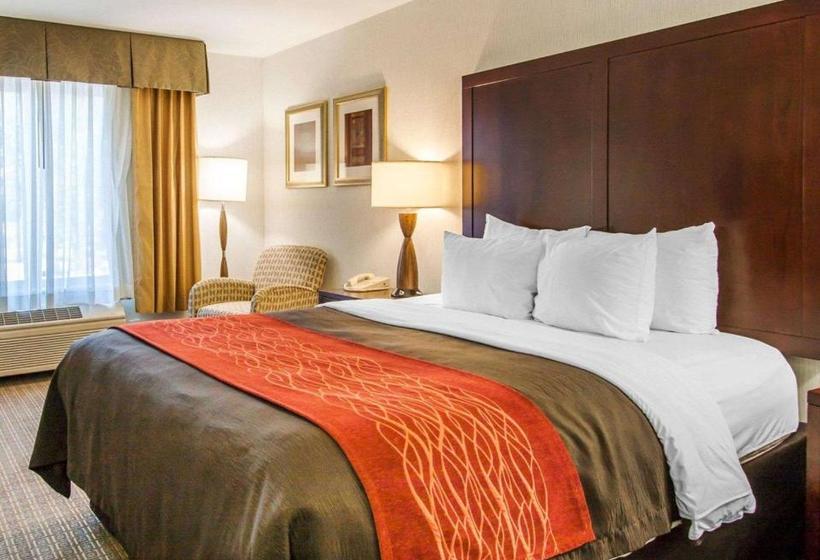 فندق Comfort Inn & Suitesportland Airport