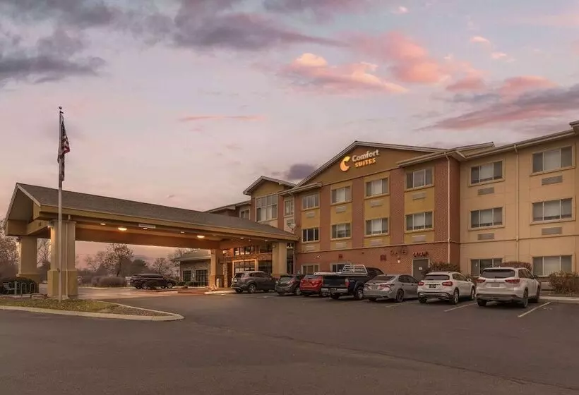 Отель Comfort Suites Boise West Meridian