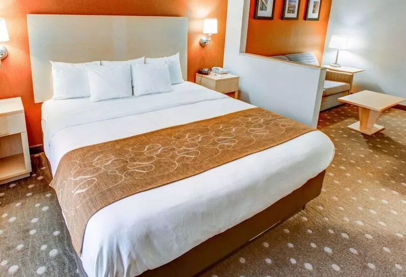 هتل Comfort Suites Pittsburgh Airport