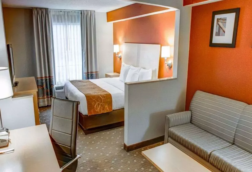هتل Comfort Suites Pittsburgh Airport