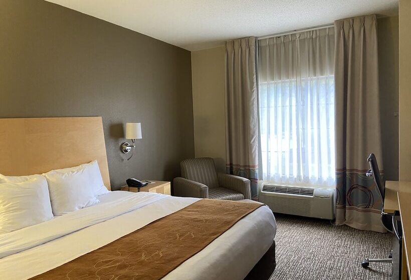 בית מלון כפרי Comfort Suites Pittsburgh Airport