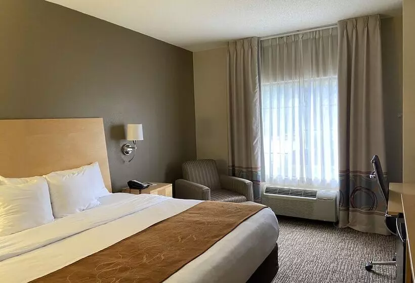 هتل Comfort Suites Pittsburgh Airport