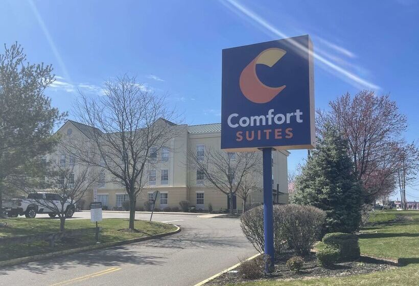 Отель Comfort Suites East Brunswick South River