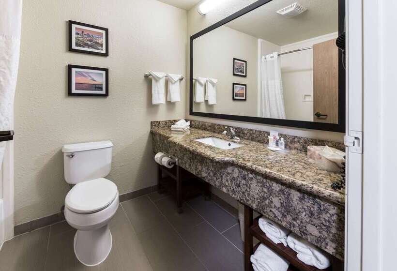 Отель Comfort Suites Monroe