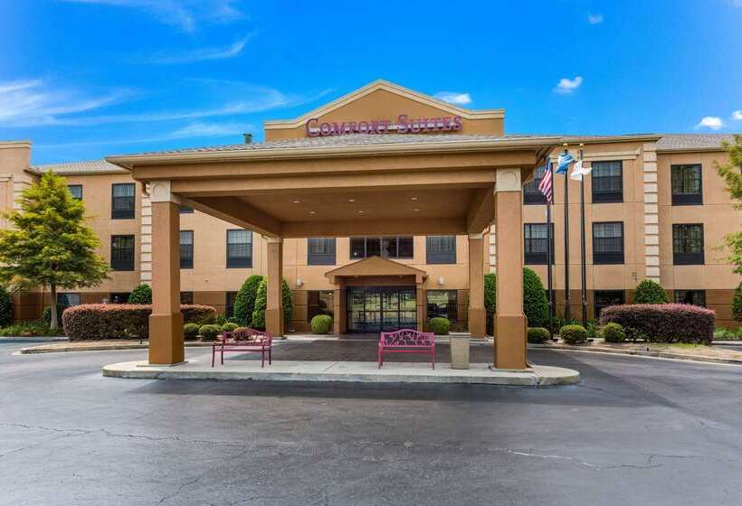 Отель Comfort Suites Monroe