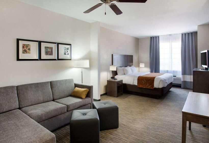 ホテル Comfort Suites San Angelo Near University