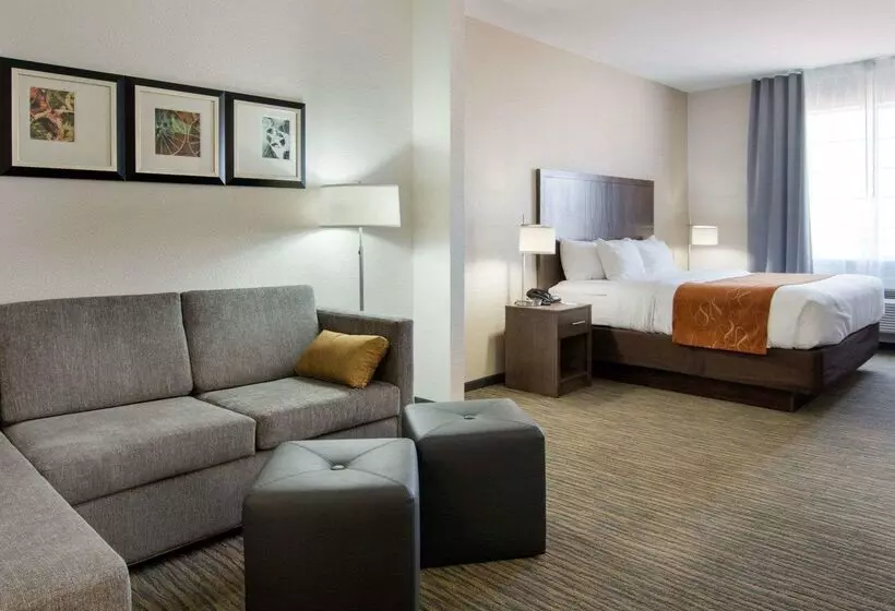 酒店 Comfort Suites San Angelo Near University