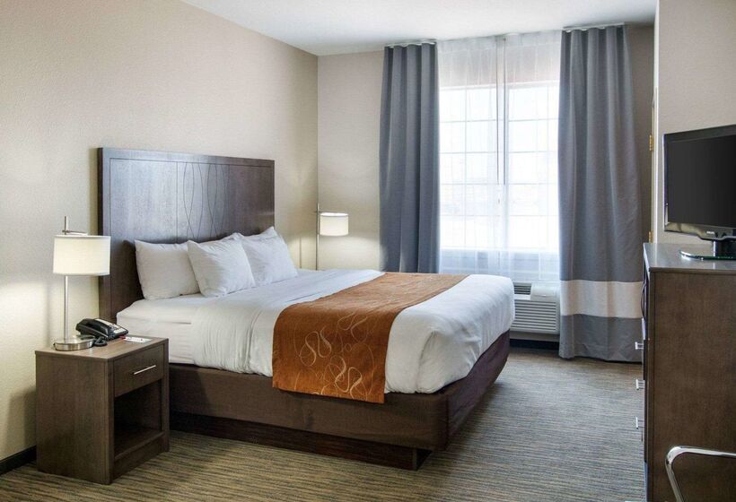 ホテル Comfort Suites San Angelo Near University