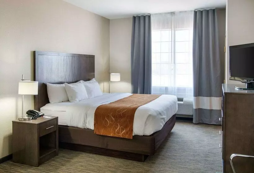 酒店 Comfort Suites San Angelo Near University